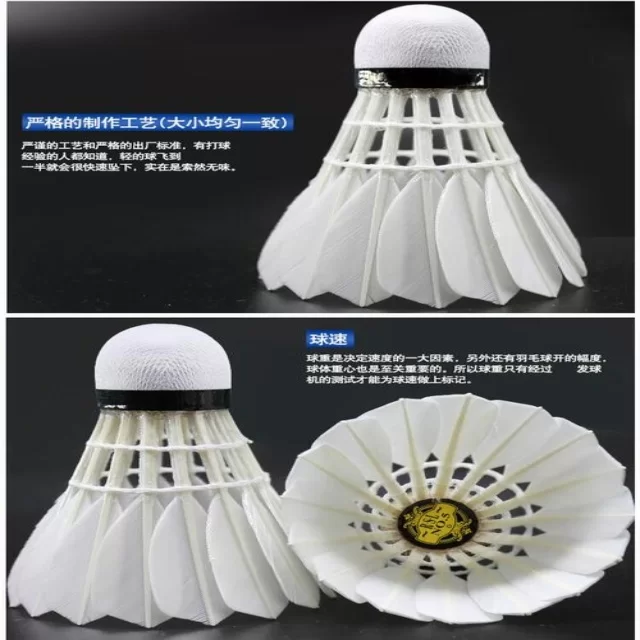 赛事动态深度观察：第74组阵容的独到视角分析 特稿第8873期